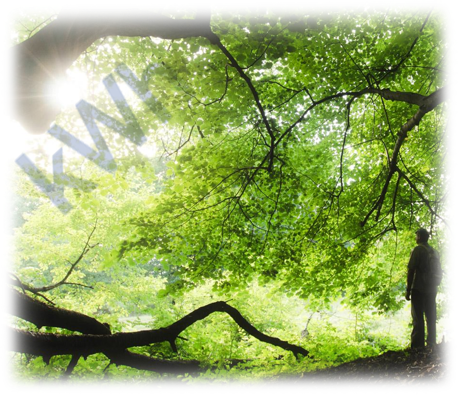 Nurturenergy Awaiting For You - Nature (900x800), Png Download