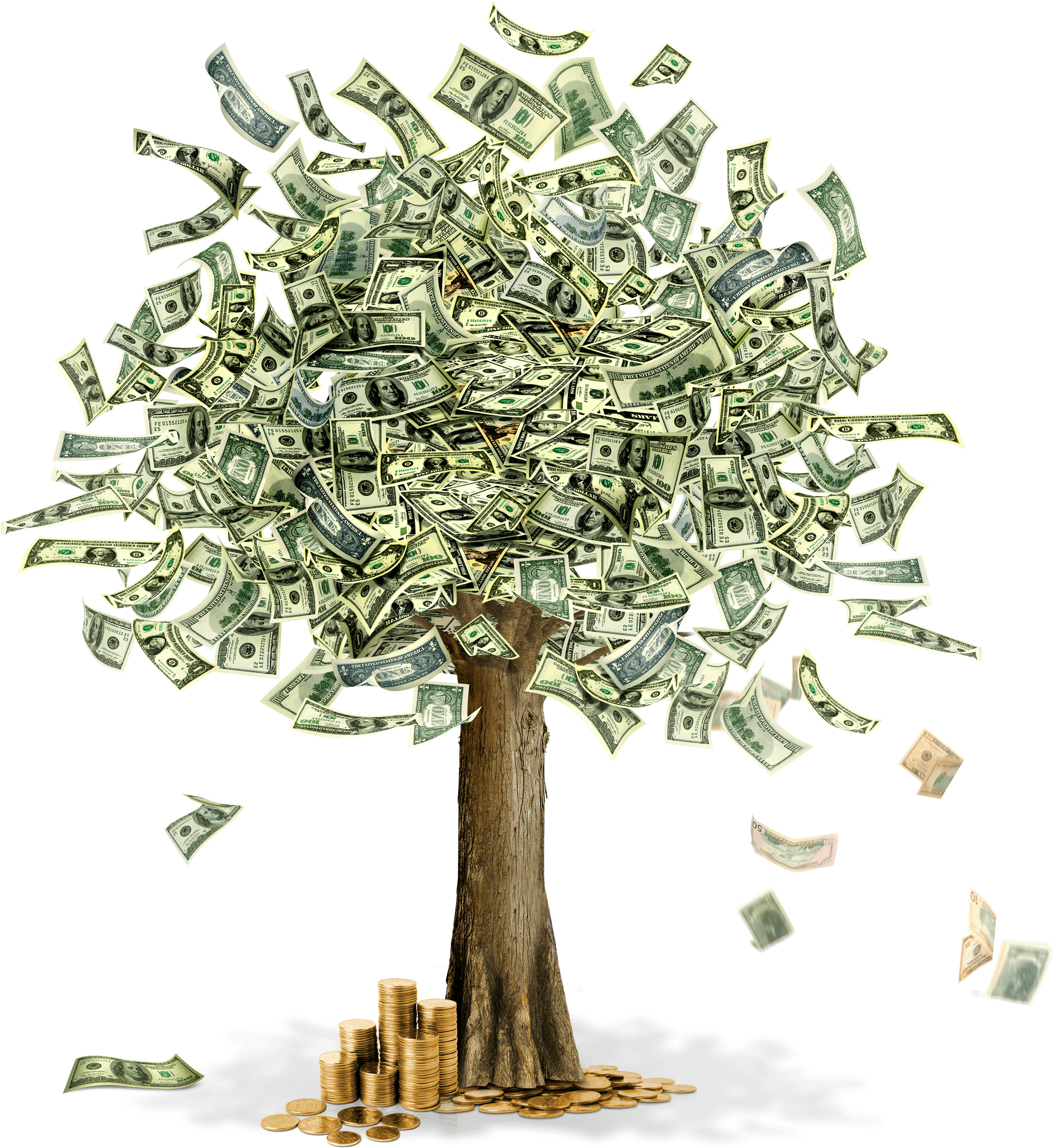 Download Money Tree Png Image Hq Png Image - Manual Básico De Matemáticas Financieras (2485x2720), Png Download