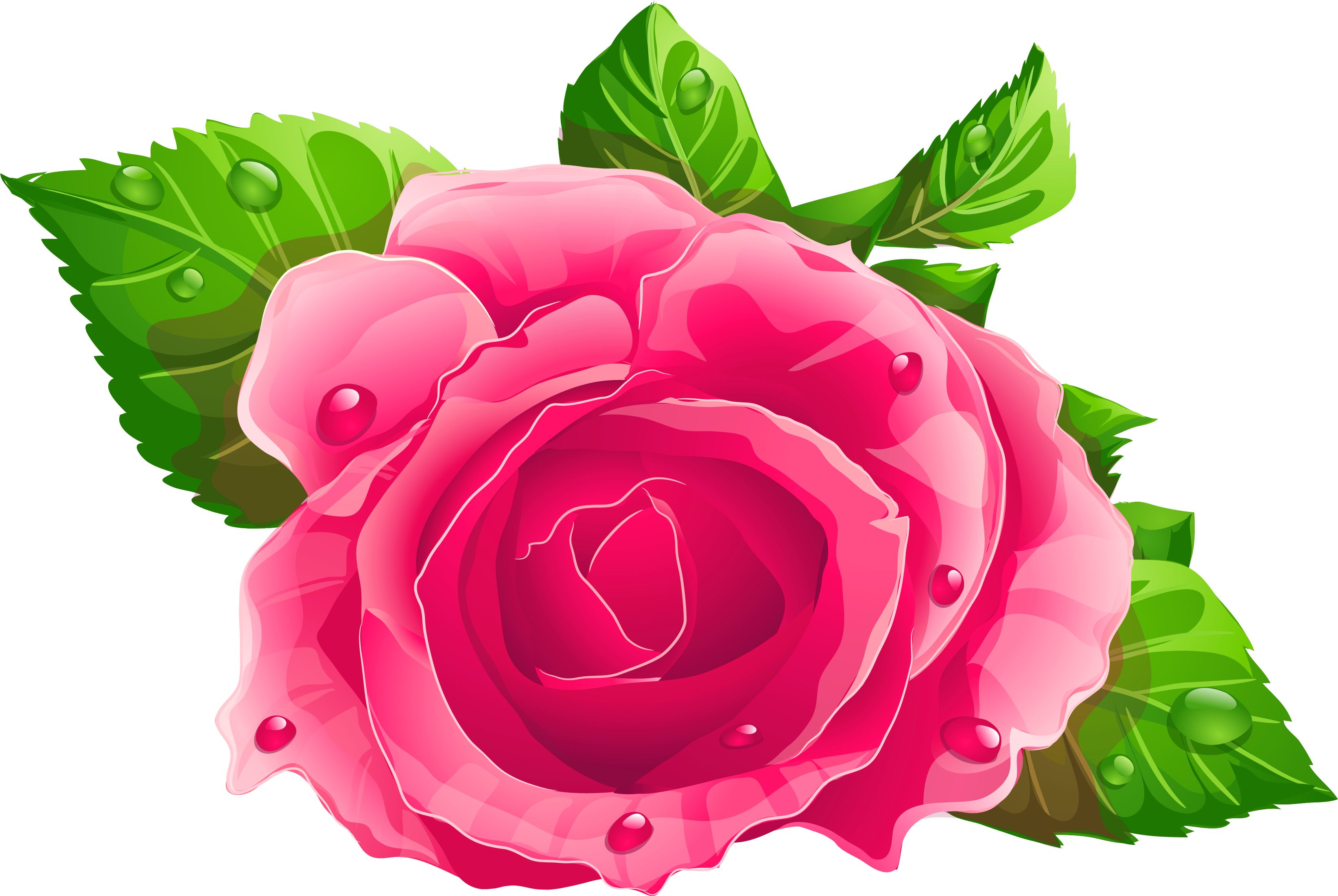 Pink Rose Clipart Png (3327x2269), Png Download