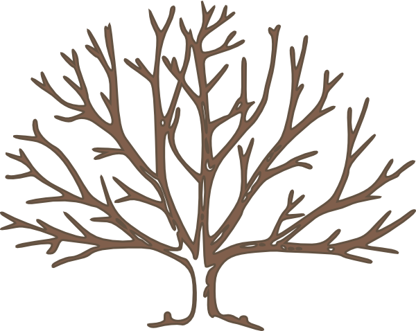 Pix For Bare Tree Template - Dharma Reader : Classical Indian Law (600x478), Png Download
