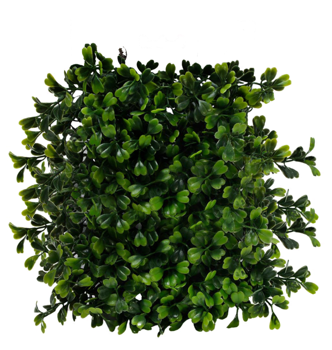 Bush Png Image - Bush Top View Png (1024x746), Png Download