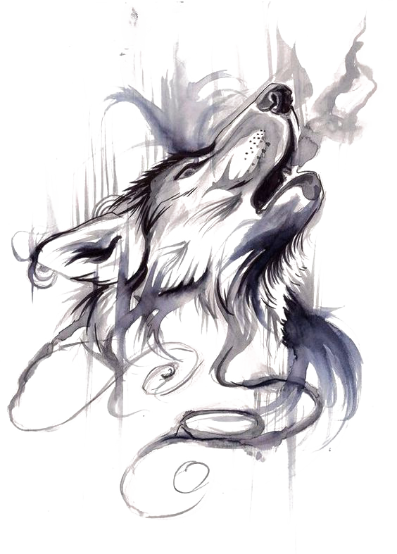 Gray Wolf Tattoo Ink Flash Drawing - Ink Wash Wolf (564x787), Png Download