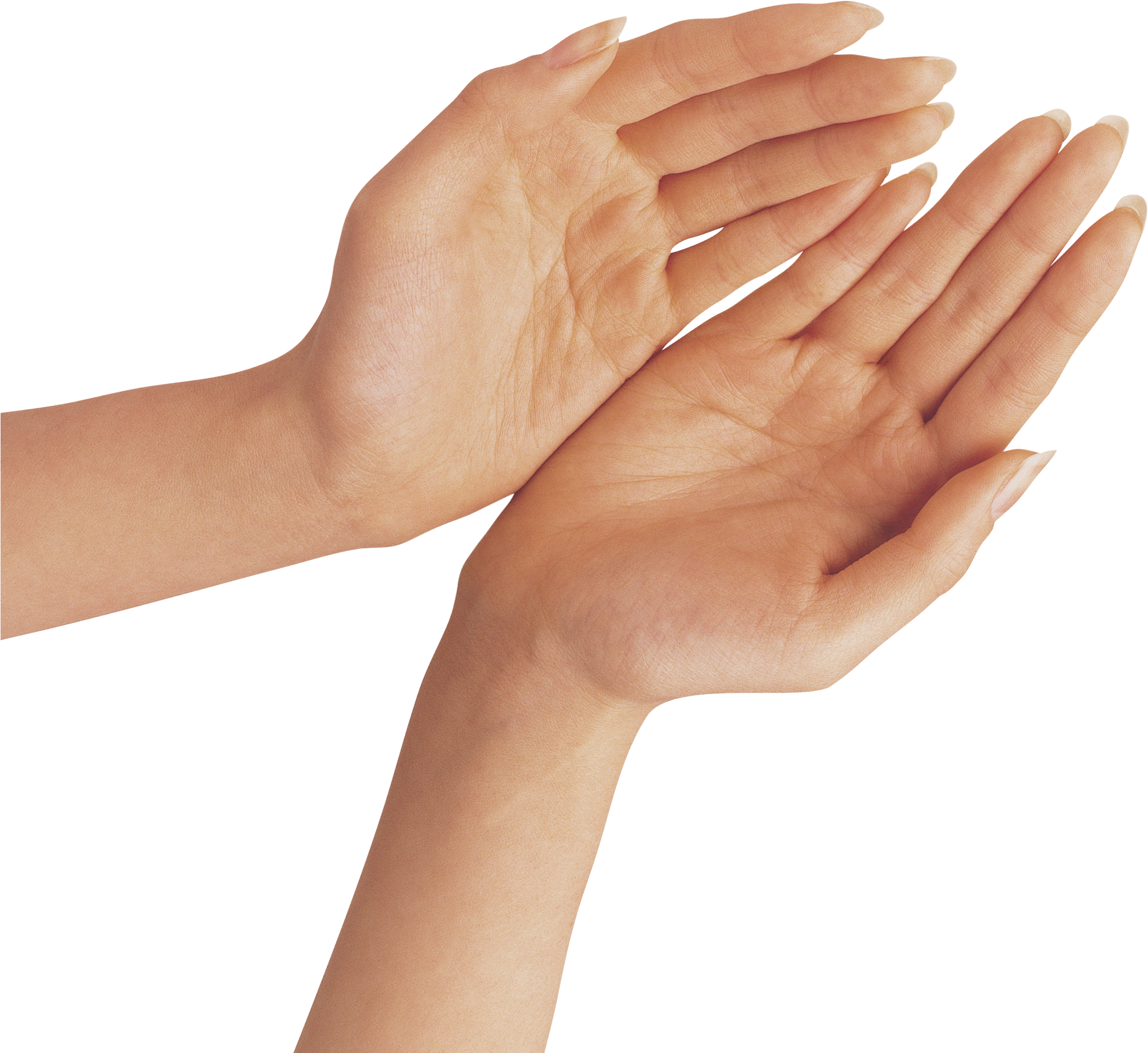 Download Two Hands Png Clipart Image Hand Png Full Size Png Image Pngkit