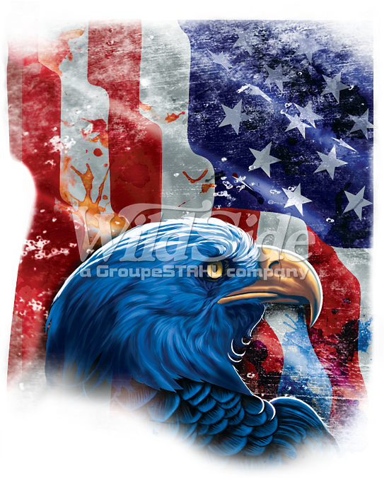 American Flag With Eagle Shadow - Free Shipping! Blue Tees Blue Eagle American Flag Patriotic (675x675), Png Download