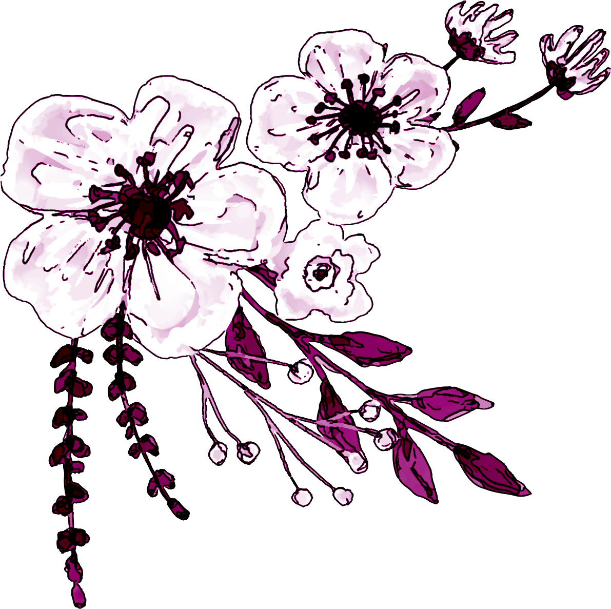 Watercolor White Flower Clipart - Logo De Ministerio De La Mujer Adventista (1191x1187), Png Download