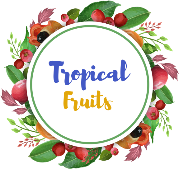 Watercolor Forest Tropical Fruits With Leaves Wreath, - Aladine Stampo Clear Floride (04223) (640x640), Png Download