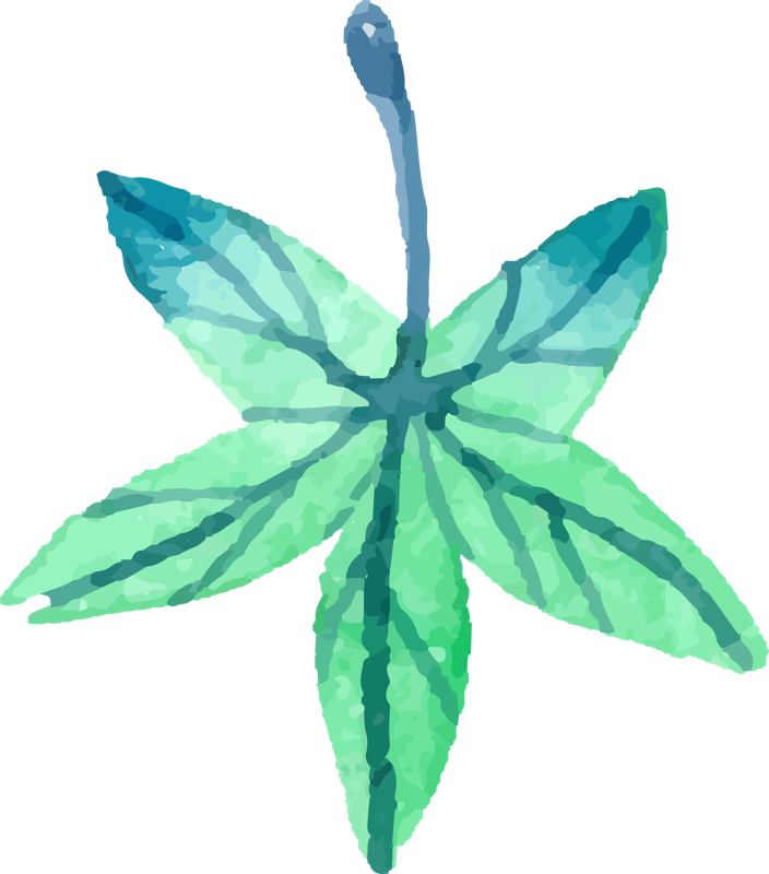 Butterfly - Watercolor Painting (704x800), Png Download