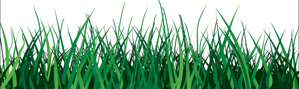 Transparent Background Grass Gif (960x287), Png Download