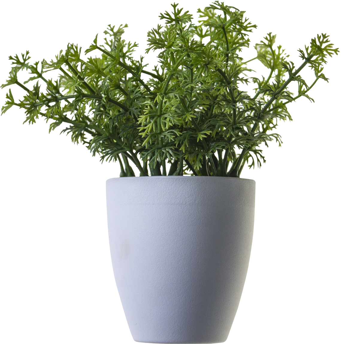 Free Icons Png - Plant In Pot Png (1299x1301), Png Download