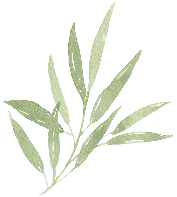 Watercolor Leaf Branch 01 - Leaf (700x791), Png Download