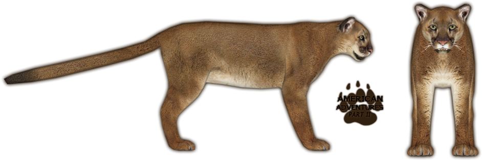 Mountain Lion - Zoo Tycoon 2 Mountain Lion (1024x409), Png Download