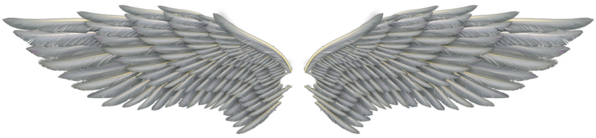 White Png Image Arts - Transparent Angel Wing Png (600x213), Png Download
