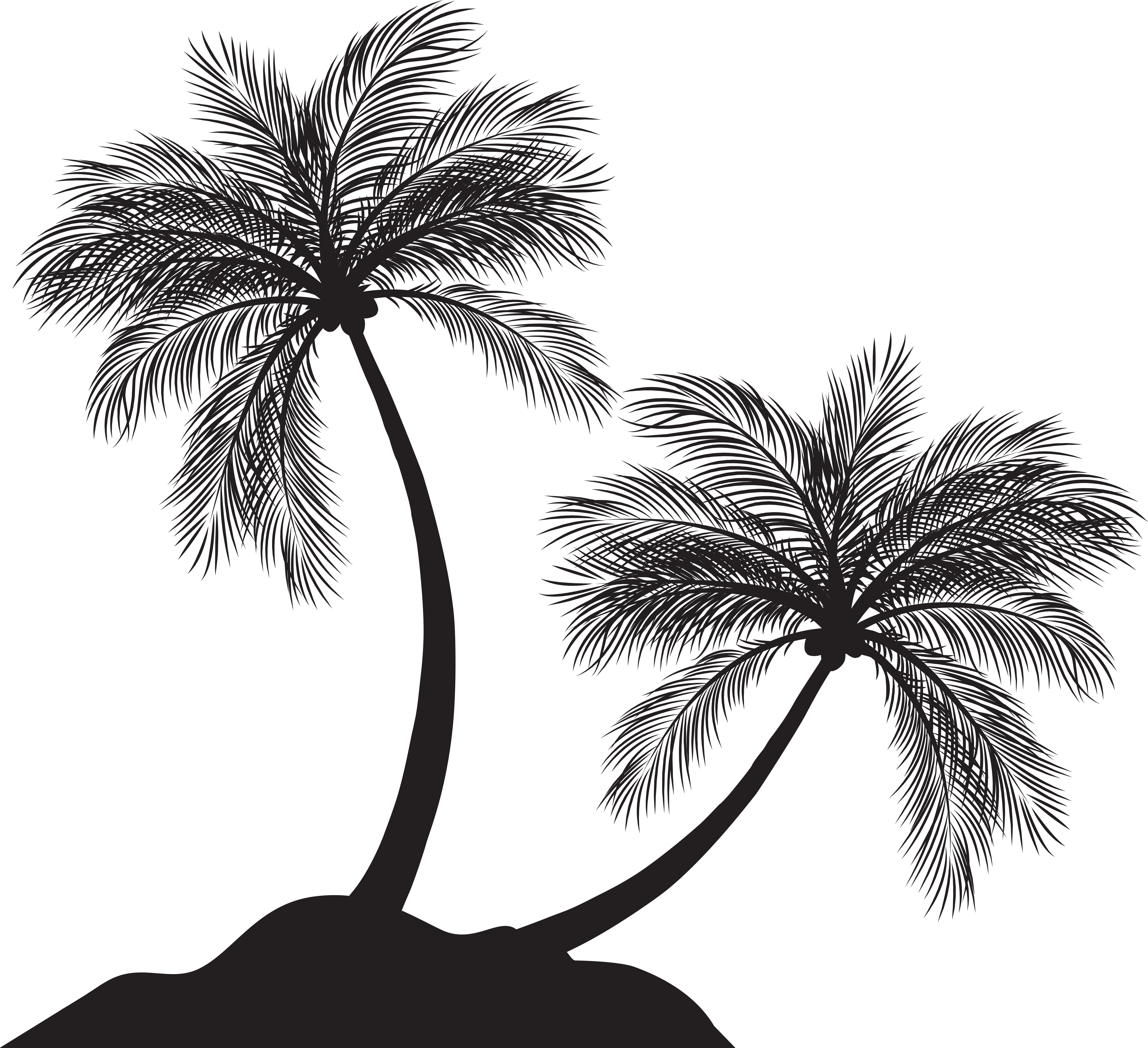 Palm Tree Png (8000x7261), Png Download