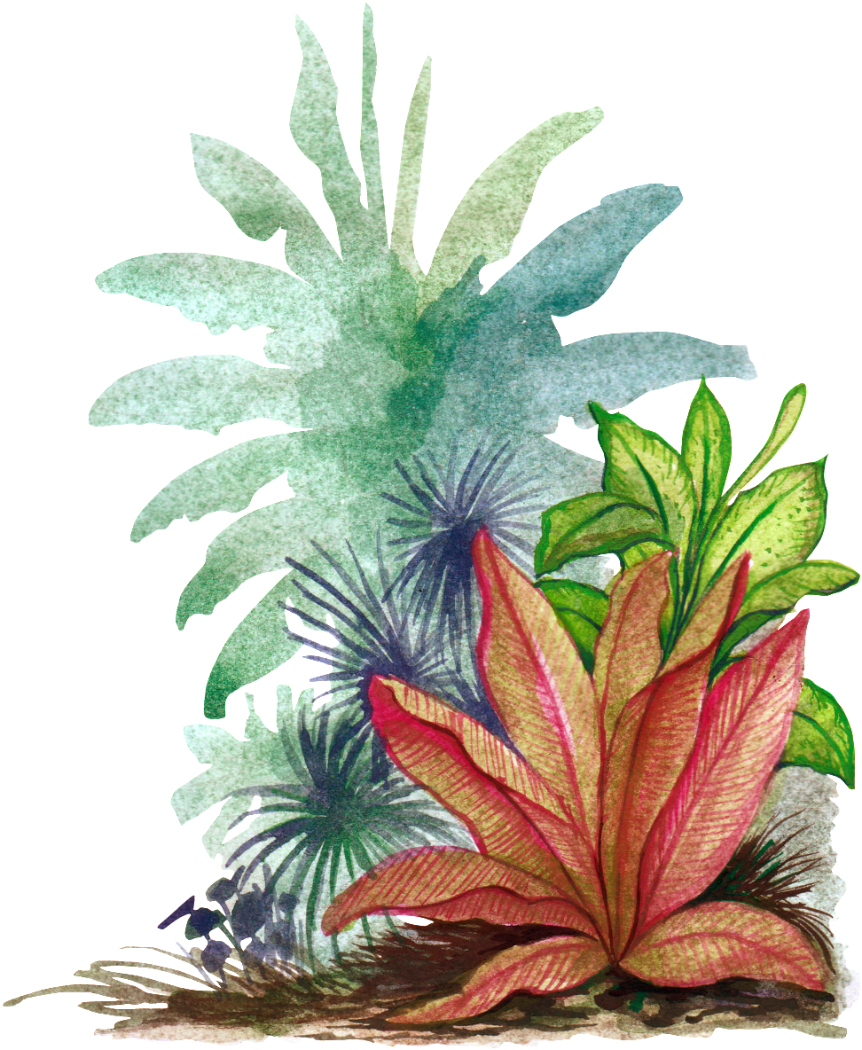 Hand Painted Watercolor Leaves Png Transparent - Portable Network Graphics (1024x1228), Png Download