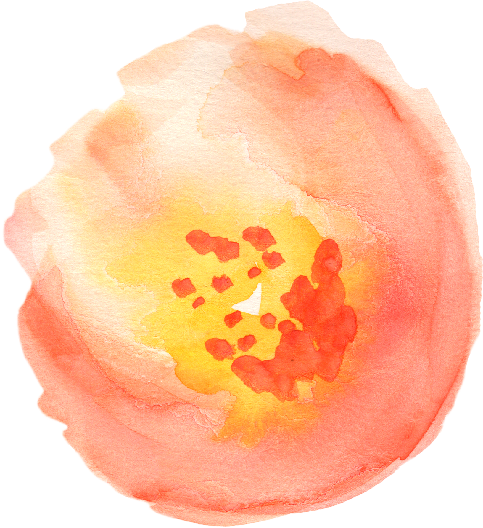 Free Fall Watercolor Floral Clip Art- So Pretty - Dark Peach Aesthetic Transparent Background (1752x1914), Png Download