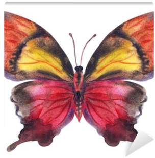 Maroon-yellow Butterfly, Watercolor Painting - Watercolor Painting (400x400), Png Download