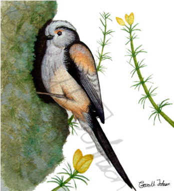Watercolor Painting (511x381), Png Download