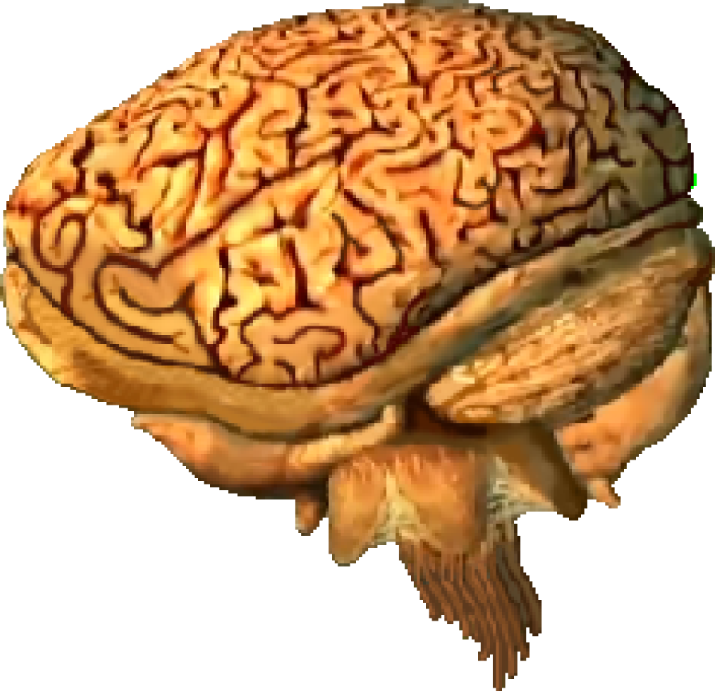 Brain - Gradius (1004x974), Png Download