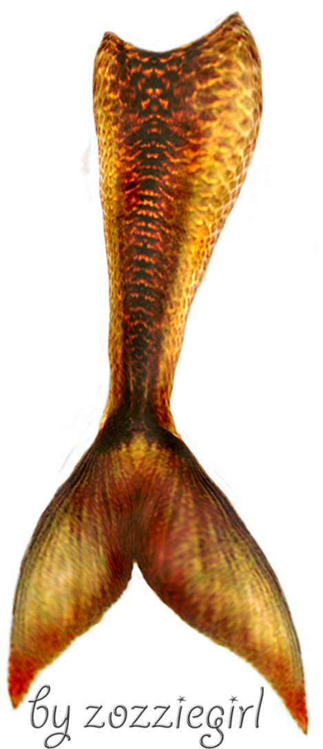 Mermaid Tail Transparent - Mermaid Tail Transparent Png (730x1095), Png Download