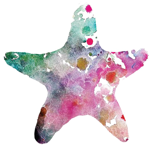 Painting Drawing Transprent Png Free Download Pink - Watercolor Seashells And Starfish Png (564x871), Png Download