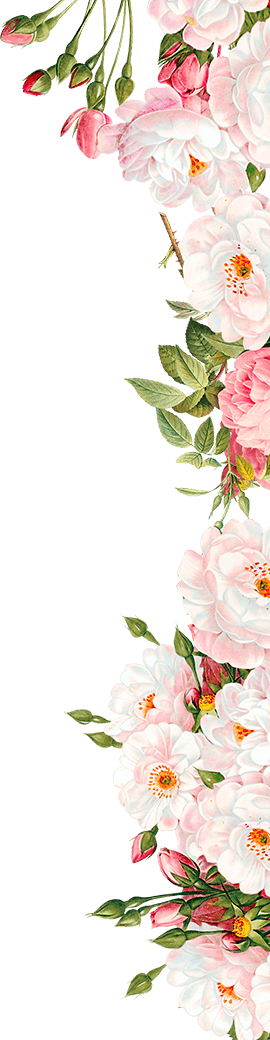Free Flowers Border Png Image - Wedding Invitation Flowers Png (266x1024), Png Download