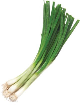 Bengard Ranch Green Onions - Green Onions Png (320x421), Png Download