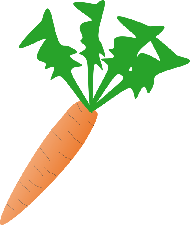 Carrot Download Drawing Free Commercial Clipart Carrot - Carrot Plant Clip Art (634x750), Png Download