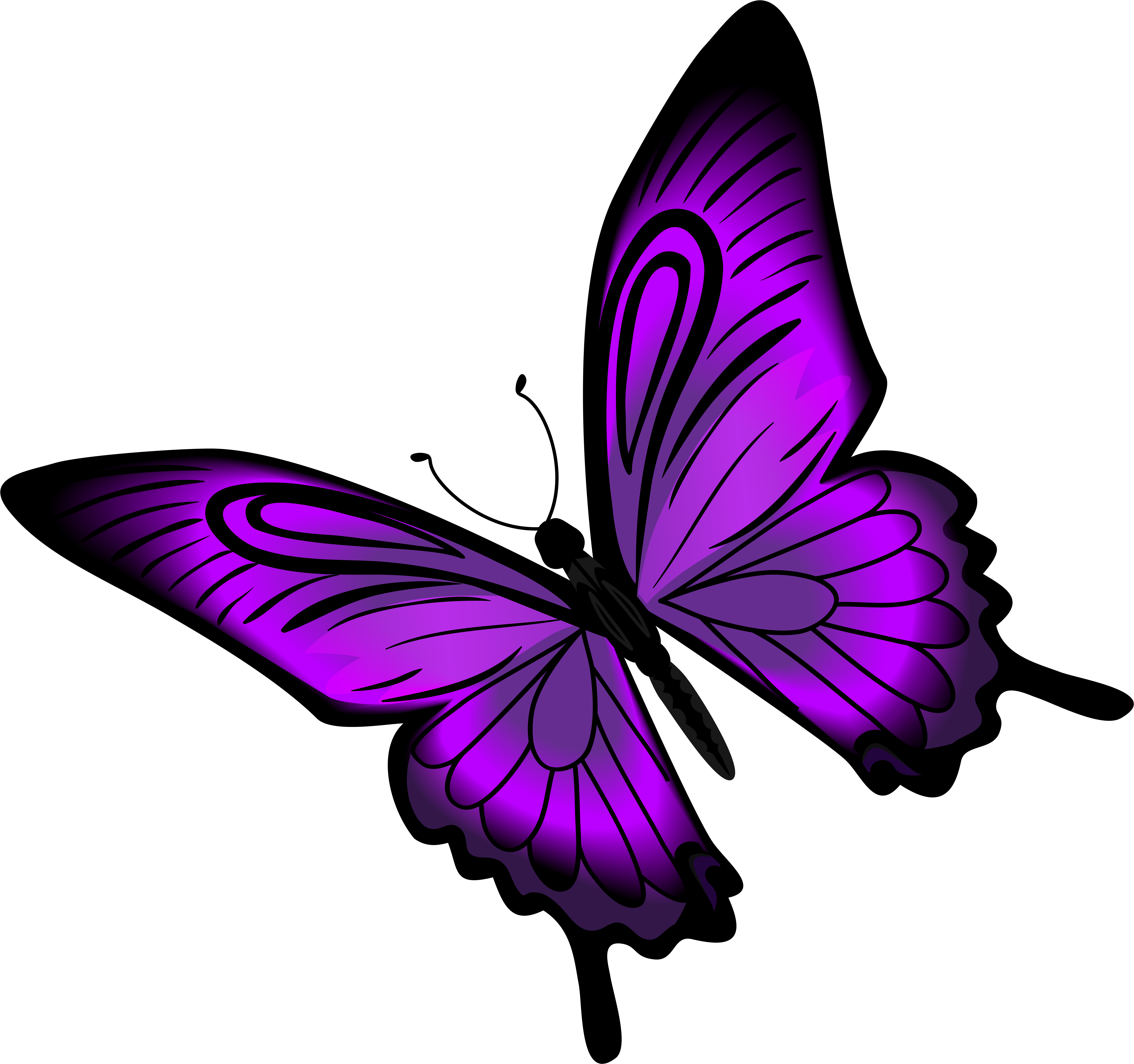 Optimized (8000x7512), Png Download