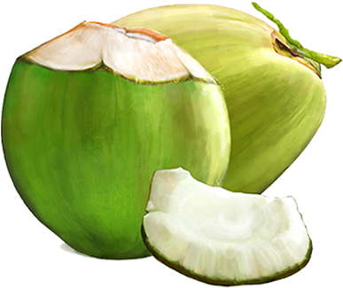 Benefits For Cosmetic Applications - Green Coconut Fruit Png (400x400), Png Download