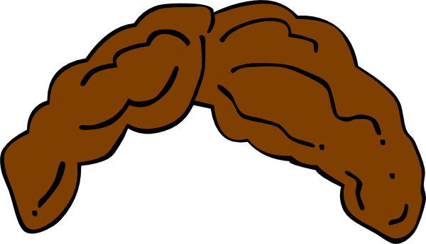 Brown Hair Wig Svg Clip Arts 600 X 345 Px (600x345), Png Download