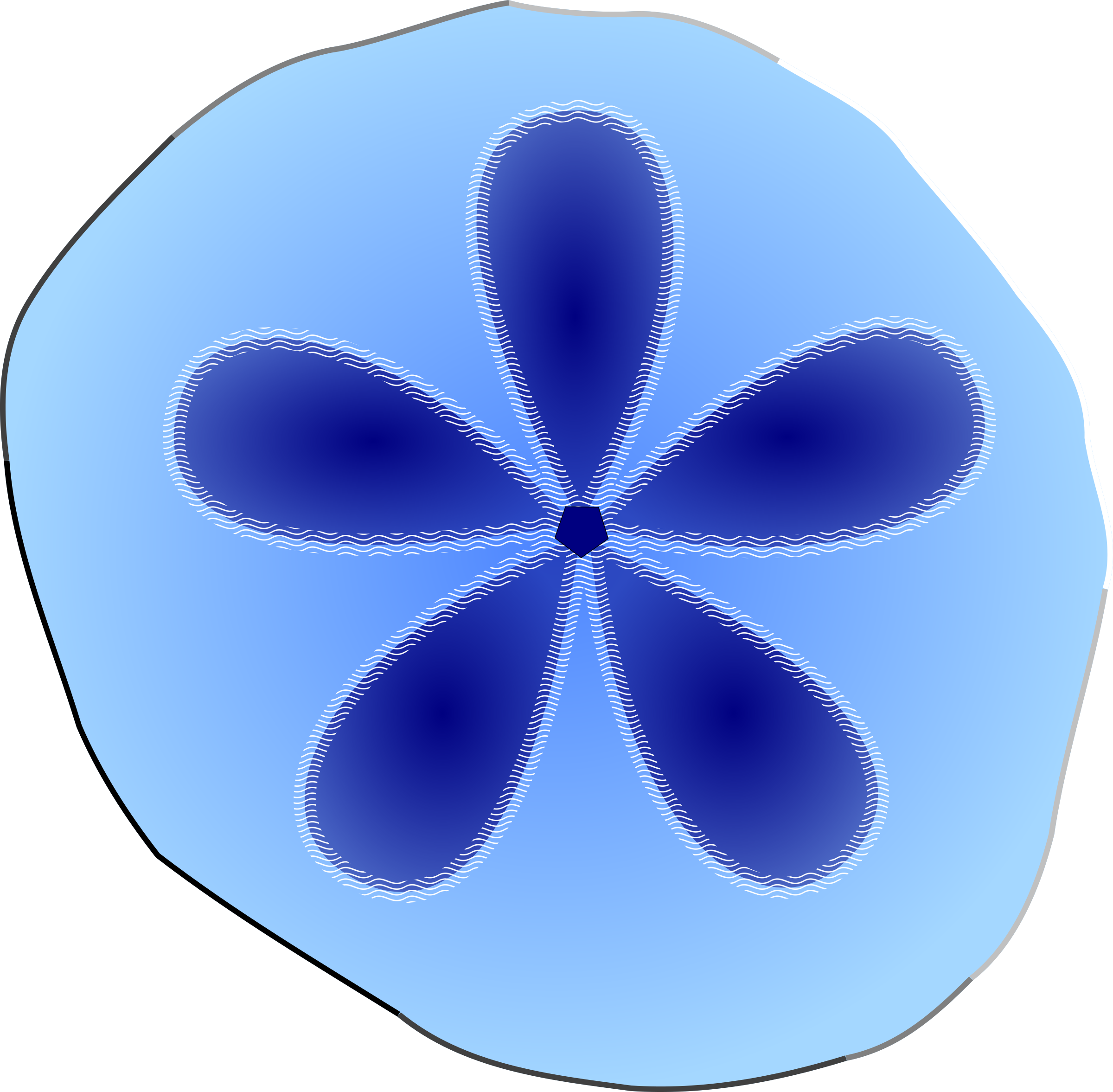 Sand Dollar Svg Clip Arts 600 X 589 Px (600x589), Png Download