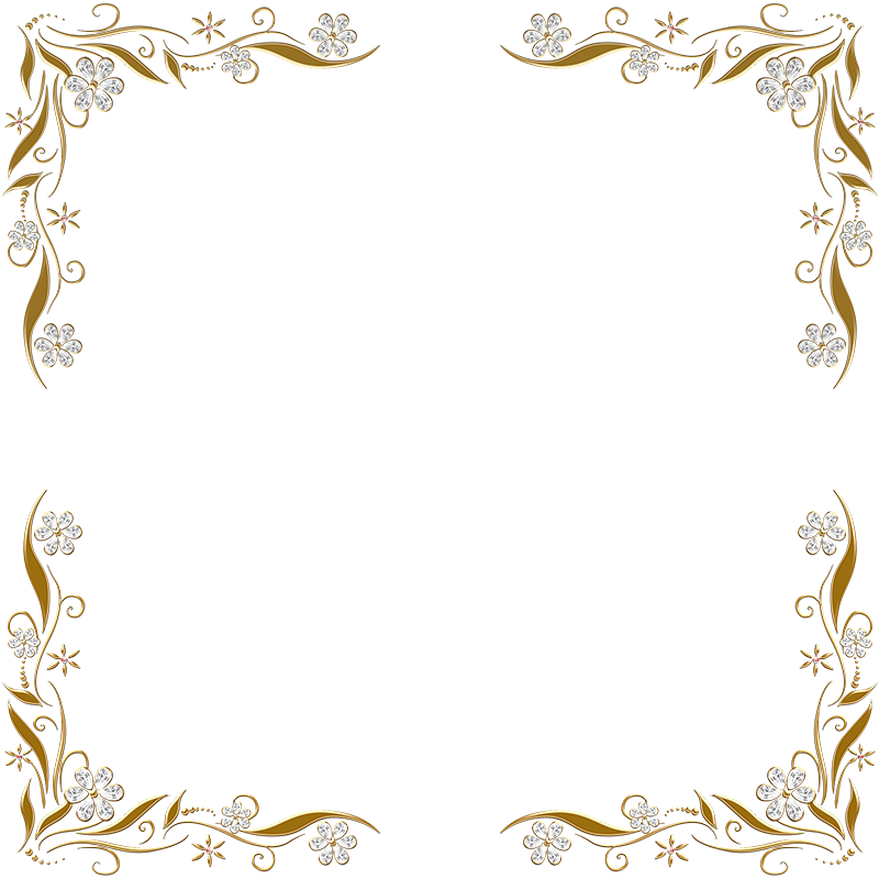Golden Floral Corners Frame 2 By Paw Prints Designs - Silver And Gold Border (800x800), Png Download