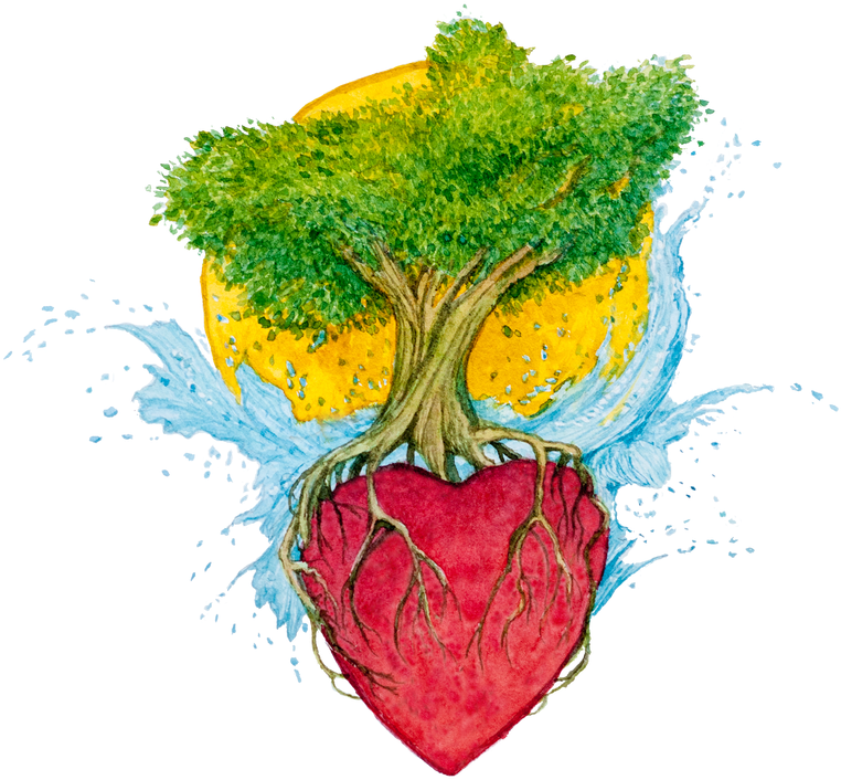 Lecture On Natural Food & Workshop Fermentation - Illustration (775x775), Png Download