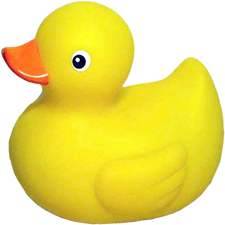 Dell Logo Transparent Background - Rubber Ducky Transparent Background (800x800), Png Download