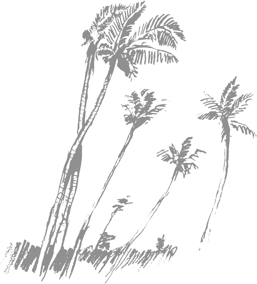 Palm Trees - Vector Graphics (1000x1079), Png Download