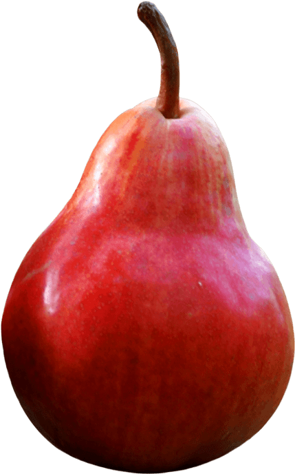 Free Png Red Pear Png Images Transparent - Pear Red Comice (480x737), Png Download