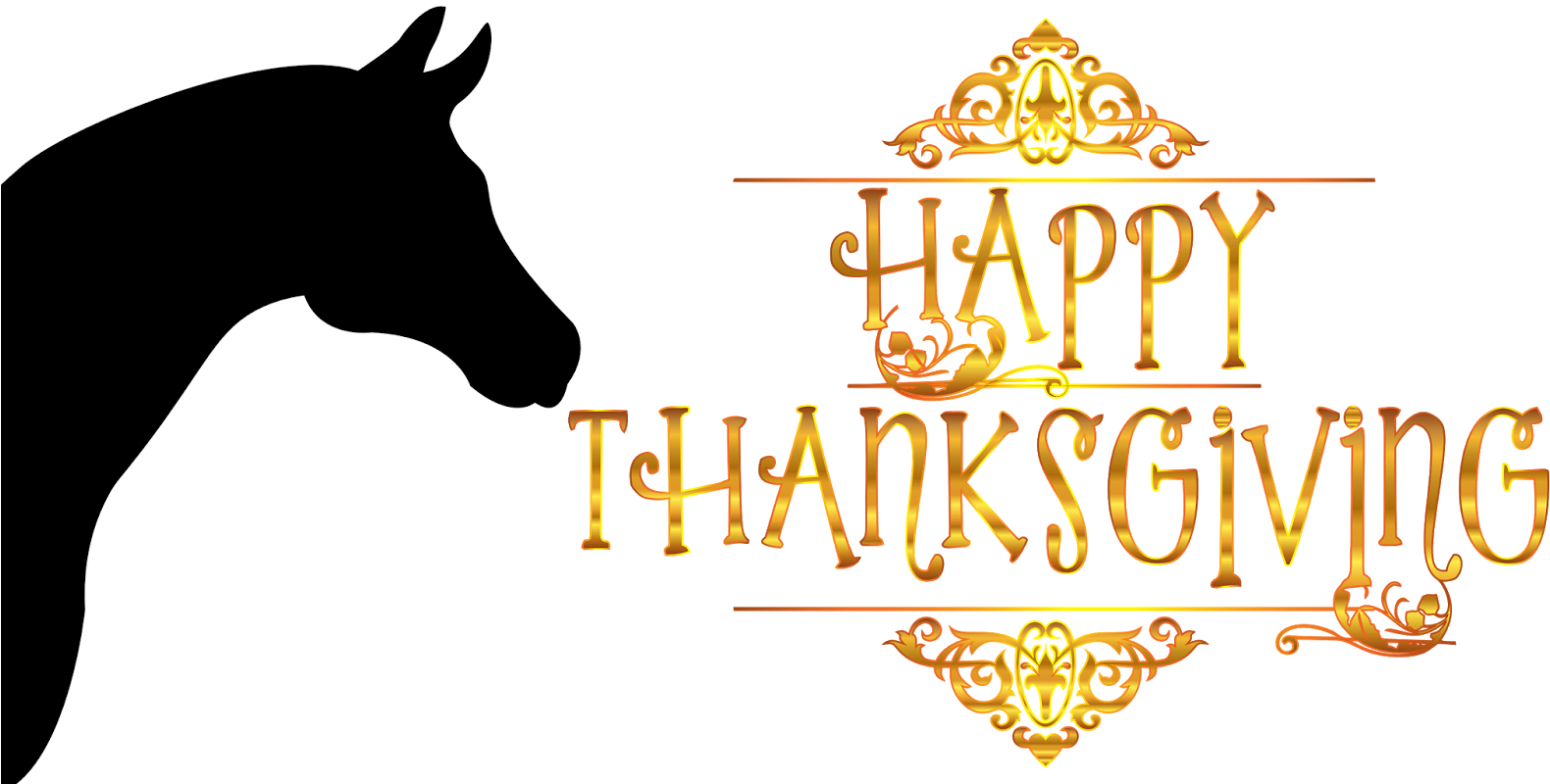 Free Horse Personal And Commercial Use Silhouette - Horse Themed Thanksgiving (1600x809), Png Download