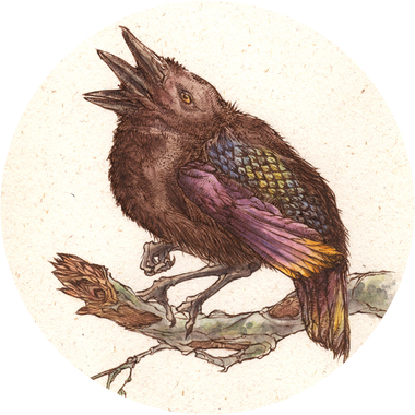 Lisa Grabenstetter - European Starling (380x380), Png Download