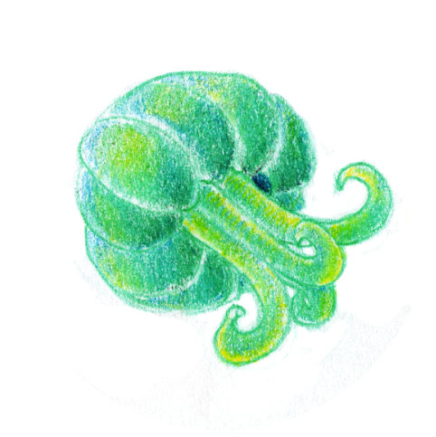 2 - Illustration (500x503), Png Download