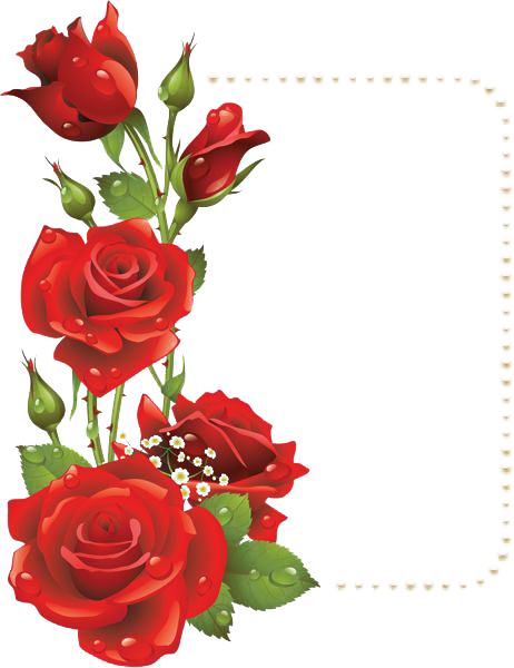 Border Frames Png Images Png Mart - Moldura Para Fotos Com Rosas (462x600), Png Download