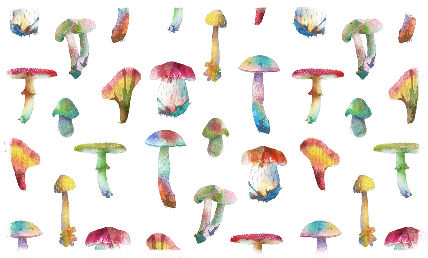 Flamingo - Agaric (1400x840), Png Download