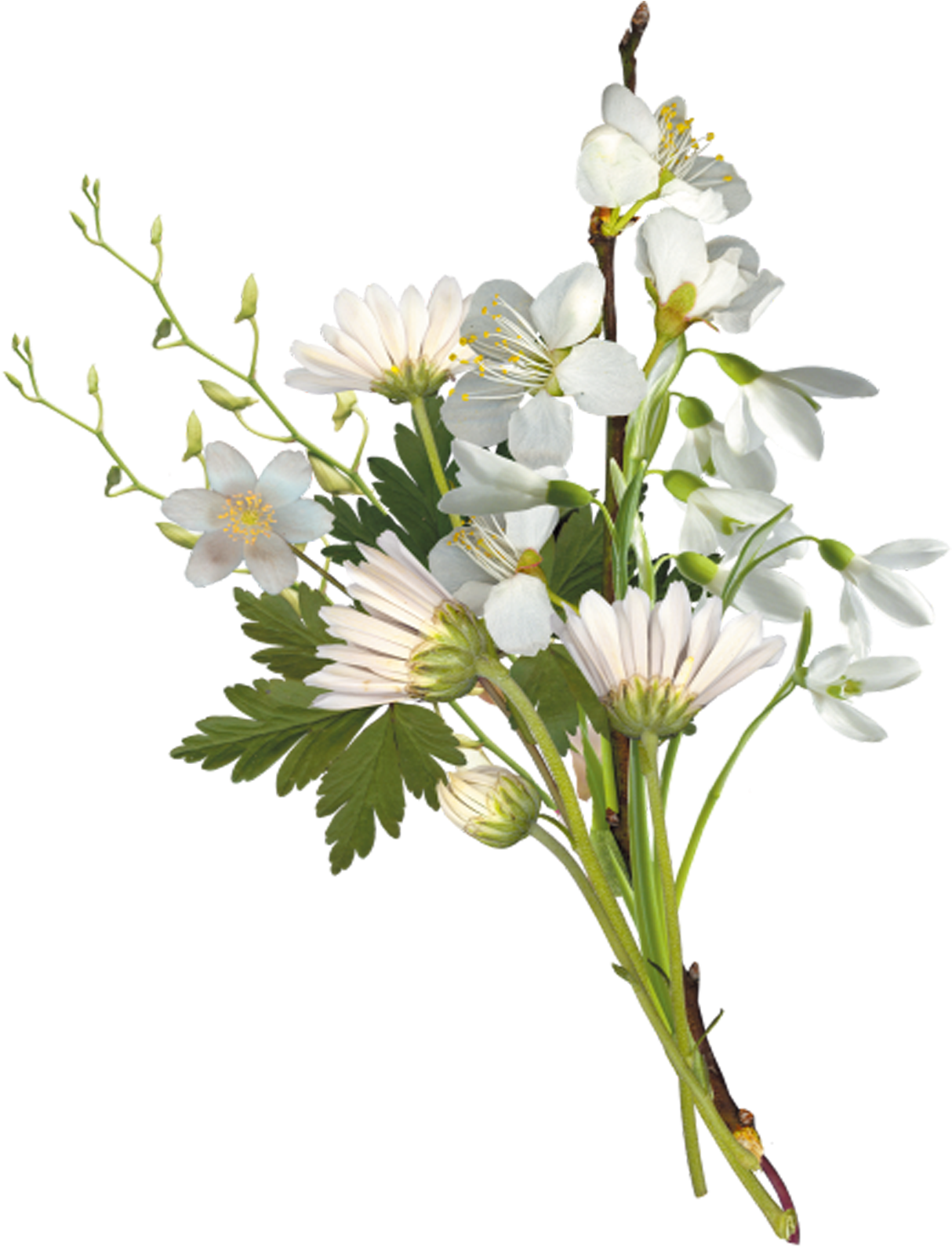Flower Bouquet Chess 2017 Clip Art - White Small Flowers Png (1762x1952), Png Download