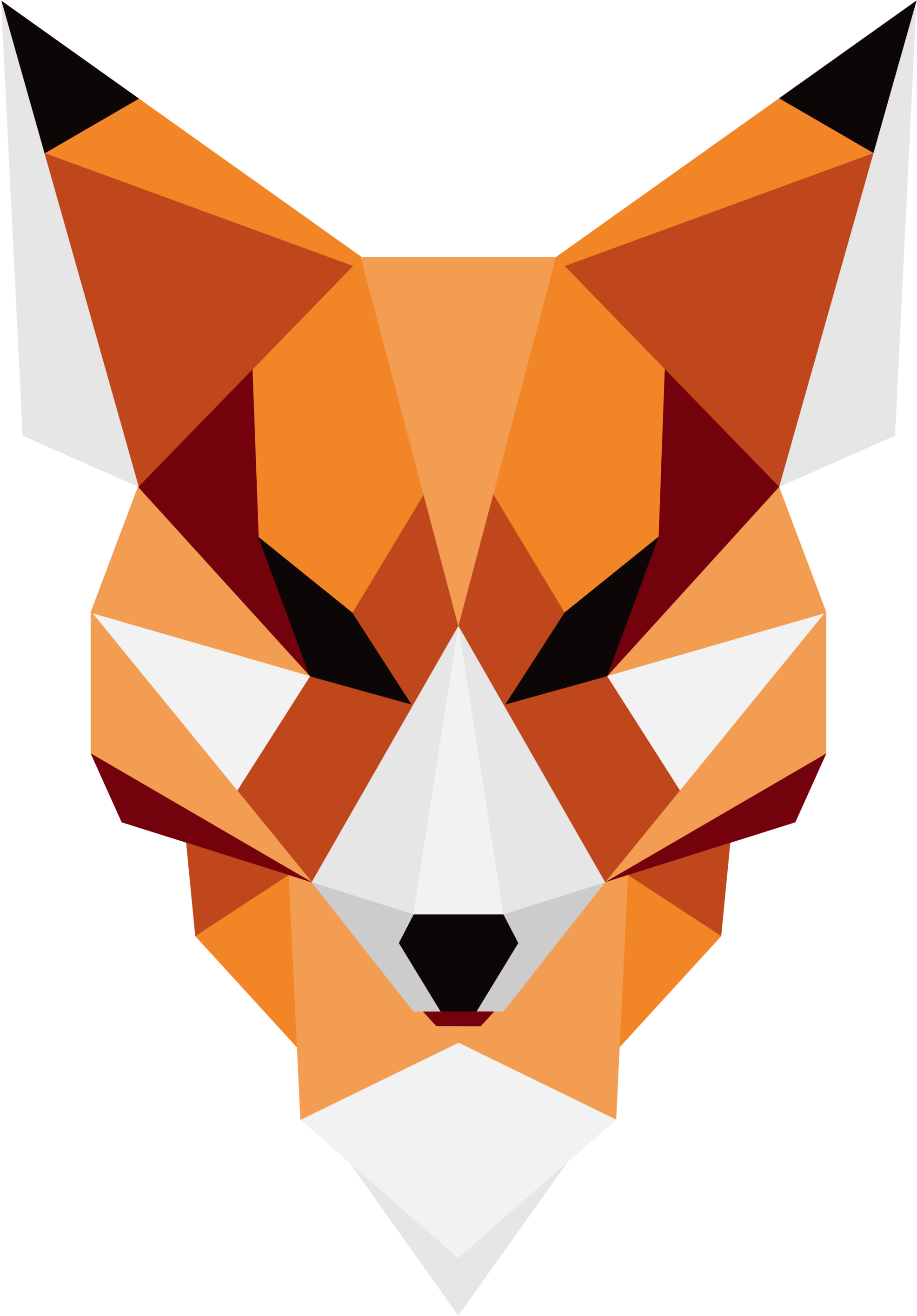 Download Geometric Fox Art Png - Animal Made Out Of Shapes - Full Size ...