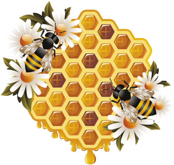 Bee And Honey - Flower Honey Bee Clip (600x600), Png Download