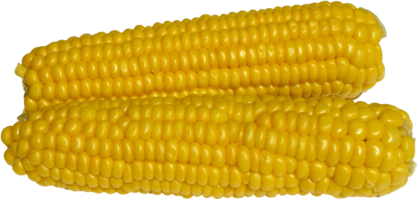 Free Png Corn Png Images Transparent - Maize (850x462), Png Download