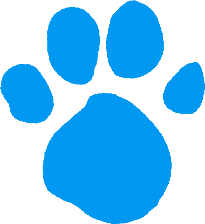 Baby Blue Seamless Paw - Blue's Clues Gold Clues (980x1006), Png Download