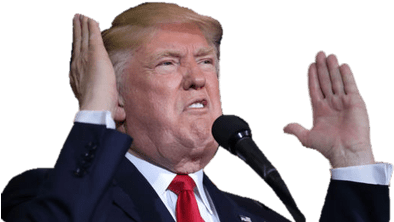 Donald Trump Argument - Donald Trump (400x400), Png Download