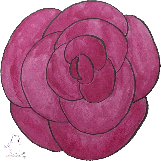 Rose Drawing Visit Craftyjbird - Persian Buttercup (552x550), Png Download