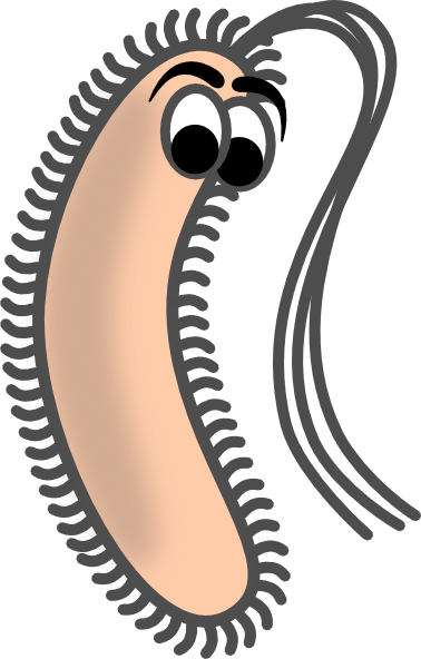 How To Set Use Funny Bacteria Svg Vector (378x592), Png Download