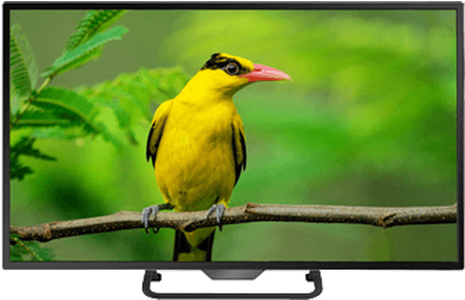 Linnex Full Hd Eled 24” - Bird (600x600), Png Download
